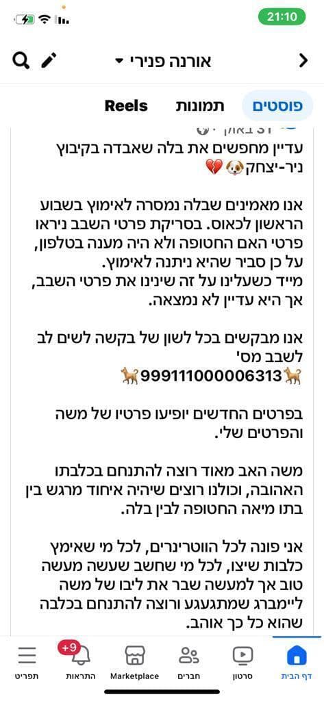 החיפושים אחר הכלבה של מיאה