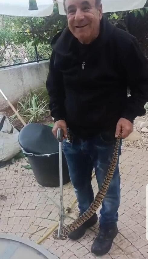 גדעון דעבול עם הנחש