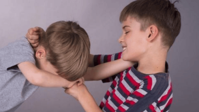 השליכה אופניים וגרמה להם נזק