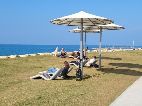מתחם הדולפינריום החדש בתל אביב מתחם הדולפינריום החדש בתל אביב