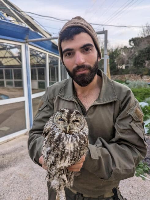 אריאל שוובר והלילית שאותרה
