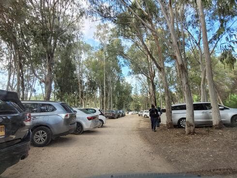 רצוי להגיע באמצע השבוע, בסופי שבוע היער עמוס במבקרים (צילום: ניצן ינקו) רצוי להגיע באמצע השבוע, בסופי שבוע היער עמוס במבקרים
