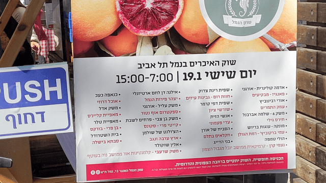שוק נמל תל אביב (צילום: שירות מיינט) שוק נמל תל אביב