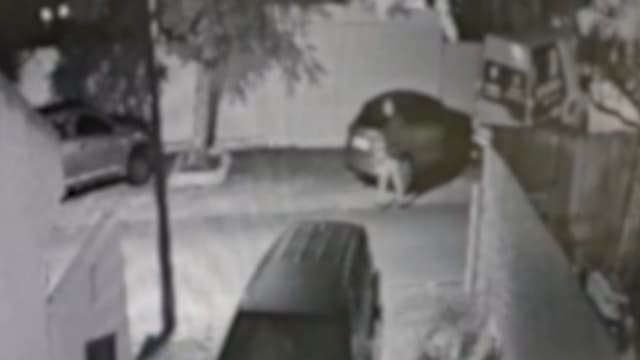 תיעוד הגעת החשוד להתפרצות 
