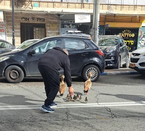 האורחים המפתיעים ברחוב המרכזי בפתח תקוה