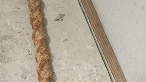 לום הברזל שבאמצעותו הותקפו האוהדים