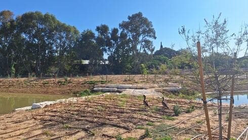 בריכת החורף המחודשת ופארק הטבע העירוני בחולון