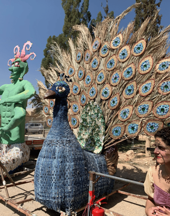 העדלאידע בשדה בוקר בשנה שעברה (צילום: באדיבות בית הספר התיכון לחינוך סביבתי) העדלאידע בשדה בוקר