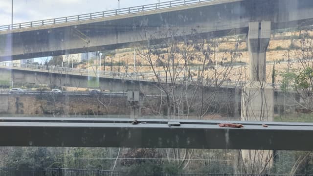 מרוב בטון לא רואים נחל. מתוך התערוכה