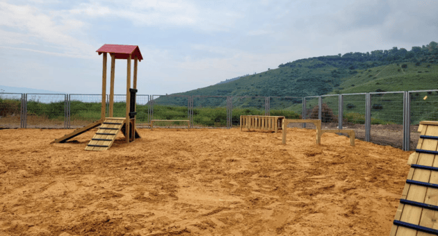 גינת הכלבים הראשונה בטבריה 