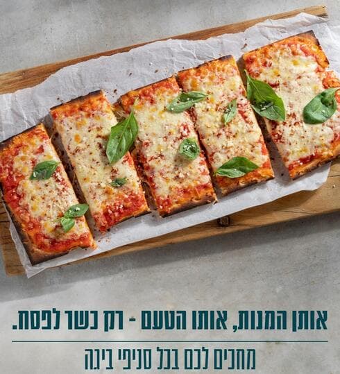 רשת ביגה (צילום: דימה) רשת ביגה