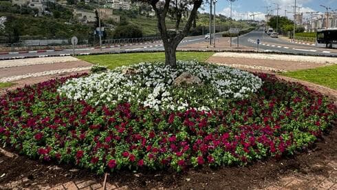 פרחים בירושלים