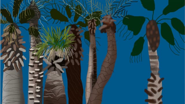 תערוכת 'צל עץ תמר' מוזיאון הרמן שטרוק בחיפה