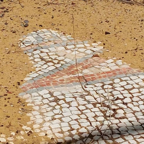 מצבו של אחד הפסיפסים (צילום: מ.מישר) מנזר קירי מריה בבית שאן