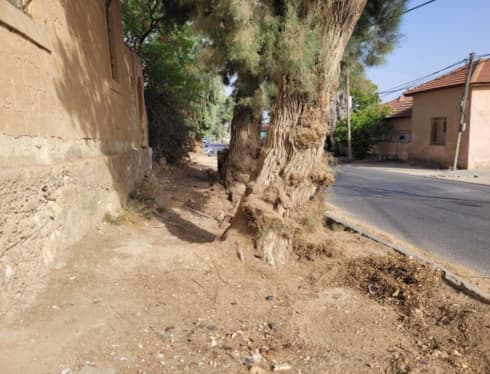 רחוב כפר דרום בבאר שבע