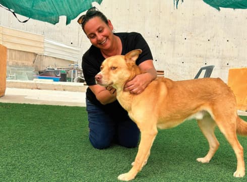 רוחה בן דהן וחבר על ארבע