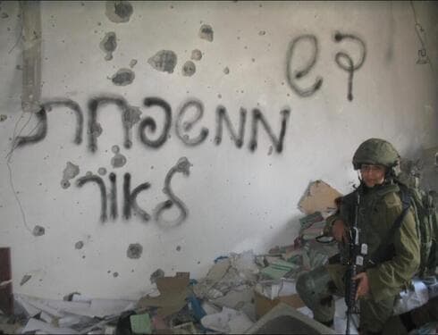 אופיר לאור
