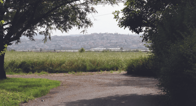 הכפר הפלסטיני סילת אל-חארית'יה בנפת ג'נין שנמצא מאות מטרים ממושב רם און (צילום: יוסי וקנין) הכפר הפלסטיני סילת אל-חארית'יה בנפת ג'נין שנמצא מאות מטרים ממושב רם און