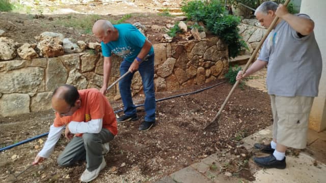 פעילות בערוגות אקים