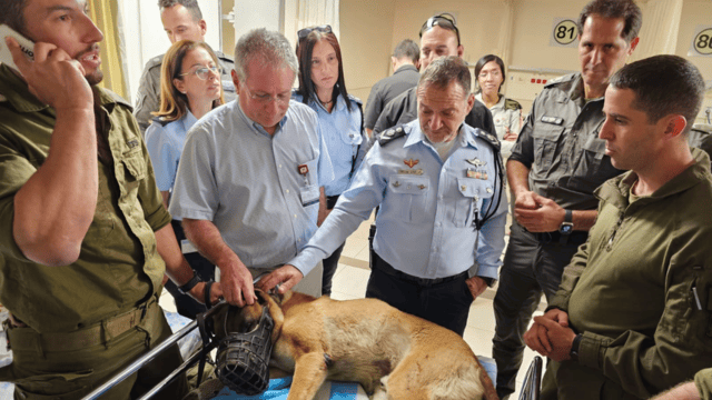 רנ"צ שבתאי ופרופ' הלברטל בביקור פצועים לפני שנה