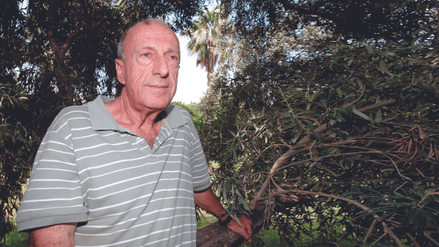 אלוף (במיל') אורי שגיא