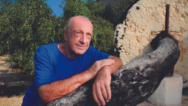 "נקום מההריסות, בדרום ובצפון". אלוף (במיל') אורי שגיא
