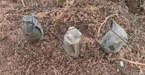 רימוני רסס בתחליף חלב
