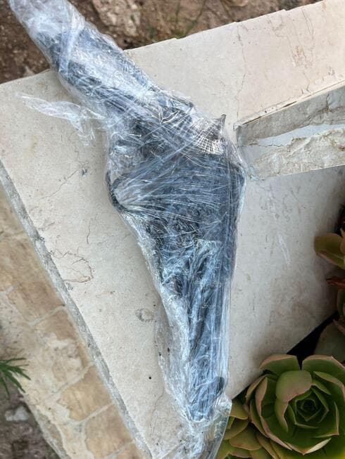 האקדח שהוסלק בבית