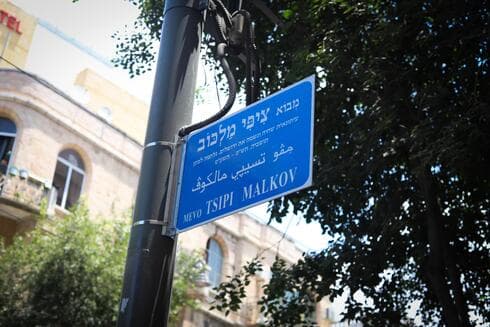 מבוא ציפי מלכוב