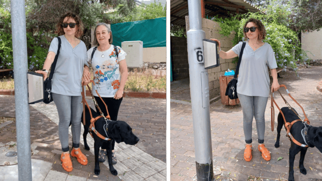 הנגשה לעיוורים בנשר