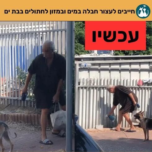 תמונת "המרסס" הופצה ברשתות החברתיות (צילום: מתוך הרשתות החברתיות, שימוש לפי סעיף 27/א לחוק זכויות היוצרים) תמונת "המרסס" הופצה ברשתות החברתיות