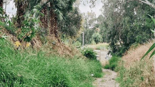 נחל גליל ים הרצליה