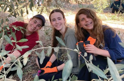 הבנות מתנדבות בחקלאות