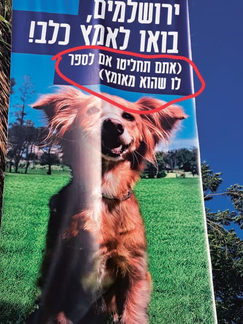 משווים בין אימוץ כלב לילד. מתוך הקמפיין