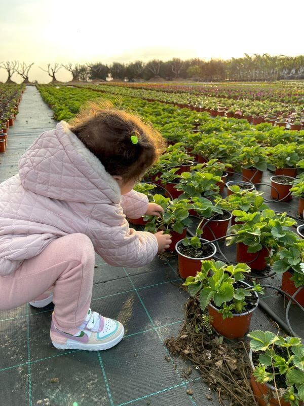 ביקור במשתלה 