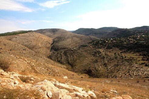 נזקי השריפה בשמורת הכפירה