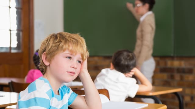 התלמידים עסוקים בהיבט החברתי אבל גם הכלכלי