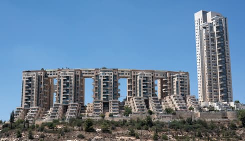 ״הולילנד״