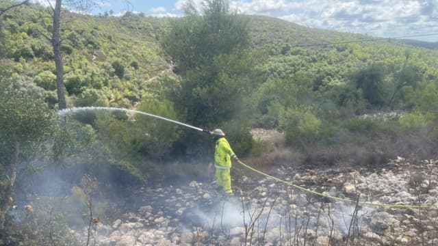 השריפות בפארק הכרמל
