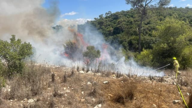 השריפות בפארק הכרמל