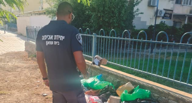 פסולת ביתית שהושלכה מחוץ לפחים