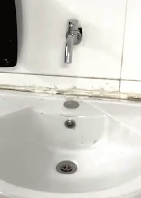 ההזנחה בשירותים 