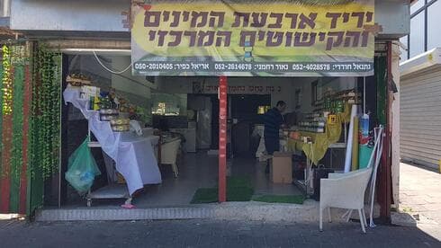 יריד ארבעת המינים בחולון