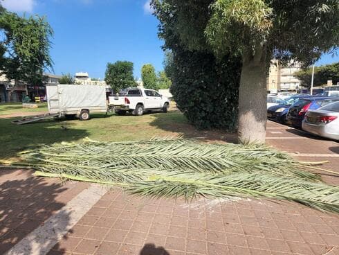 סוכות בבת ים