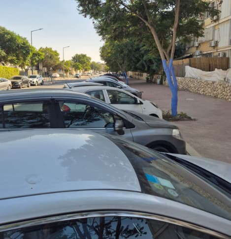 חניות ברחוב רינגלבלום