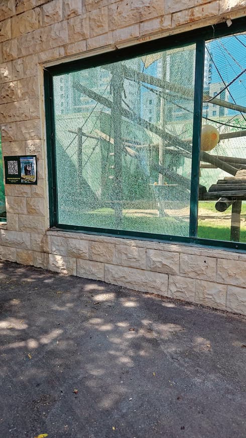 זכוכית התצוגה של הקופים התנפצה