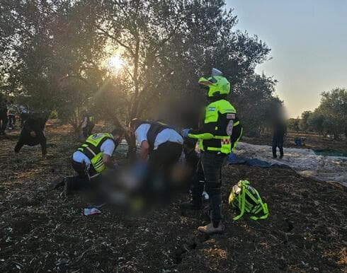 פגיעה בשטח חקלאי סמוך לכביש 79