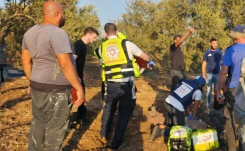 זירה נוספת סמוך לכביש 79 בשטח חקלאי