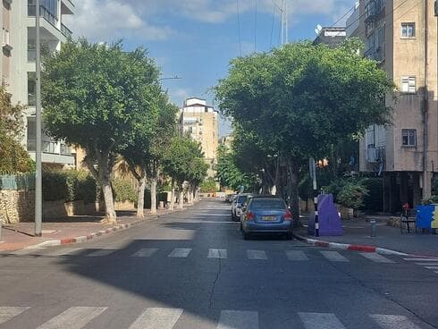 צל ועצים בראשון לציון
