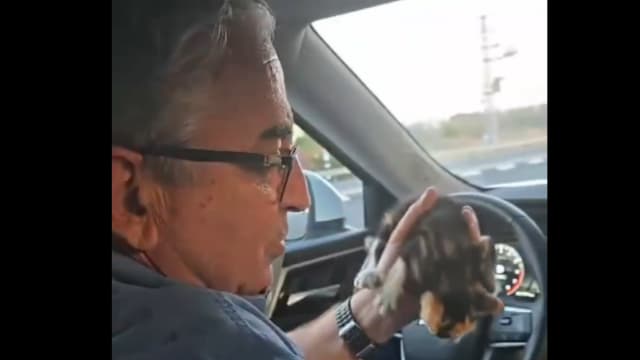 חיים ברוידא והחתול